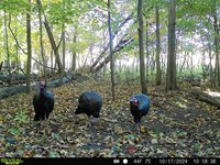 N3912 County Rd S, Plymouth, WI 53073