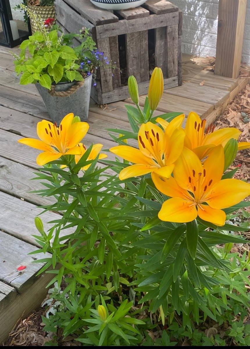 615 North Washington Street, De Pere, WI 54115