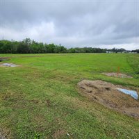tbd North Alex Plaisance Boulevard, Golden Meadow, LA 70357
