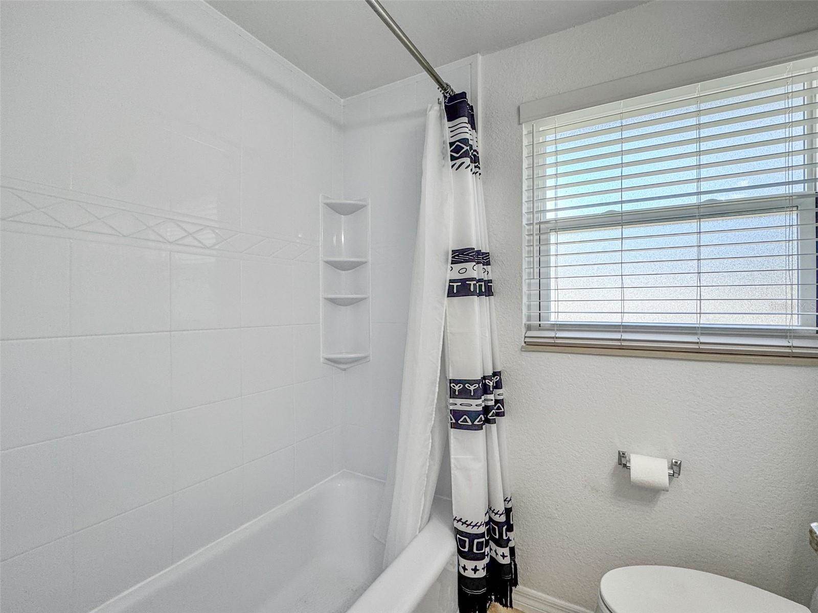 1658 St Mary Drive, Dunedin, FL 34698