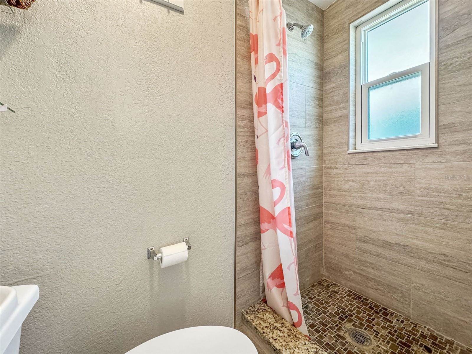 1658 St Mary Drive, Dunedin, FL 34698