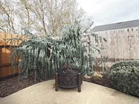 2203 Meteorite Lane, Santa Rosa, CA 95404