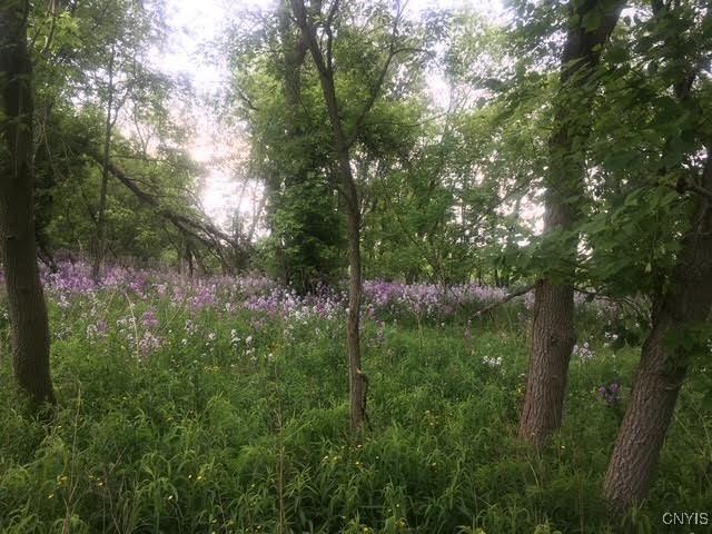 1964 Emerson Road, Conquest, NY 13140