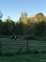 1964 Emerson Road, Conquest, NY 13140