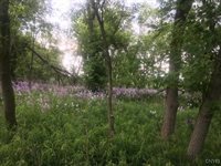 1964 Emerson Road, Conquest, NY 13140