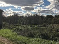 1964 Emerson Road, Conquest, NY 13140