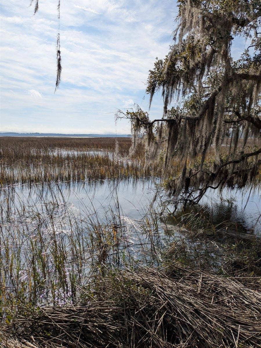 5d Archfield Avenue, Meggett, SC 29449