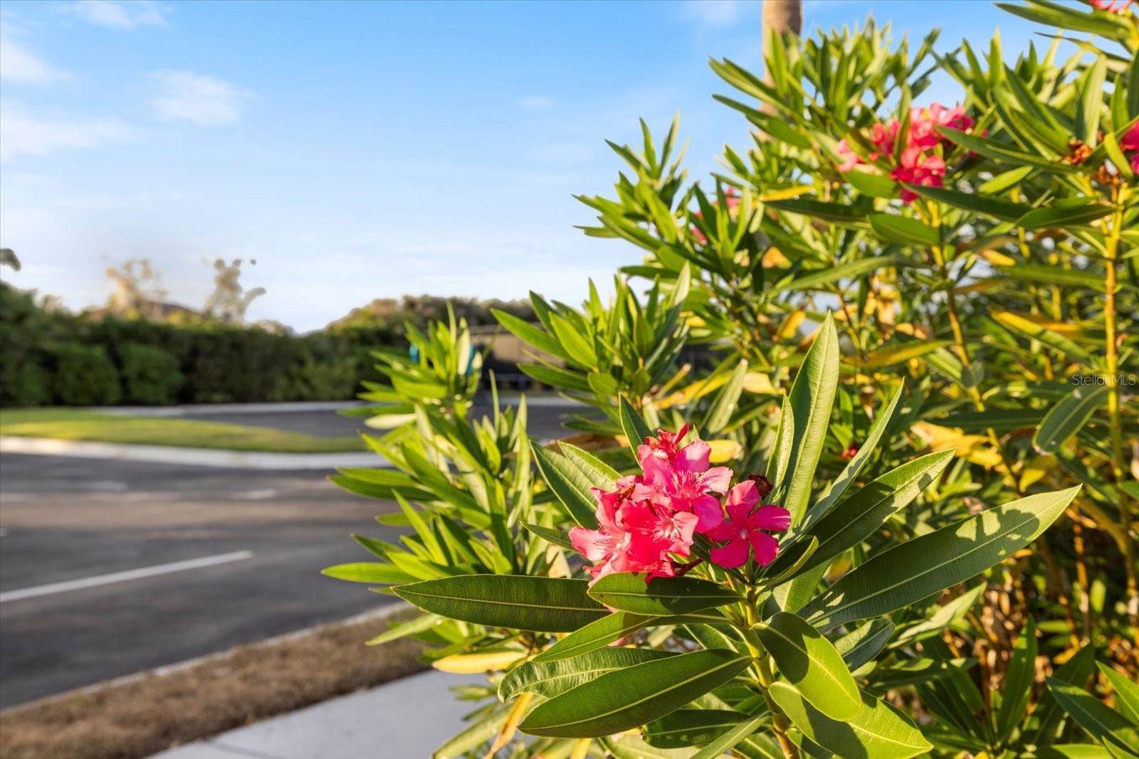 1298 Highland Greens Drive, Venice, FL 34285