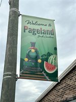 301 South Sycamore Street, Pageland, SC 29728