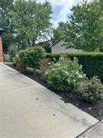 1558 Denbigh Drive, Columbus, OH 43220