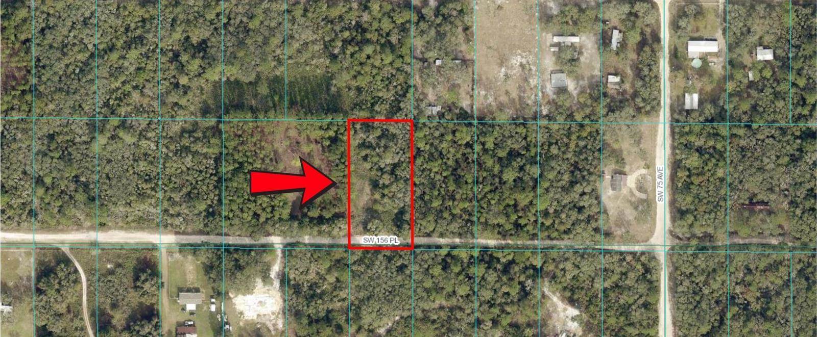 TBD SW 156 Place, Dunnellon, FL 34432