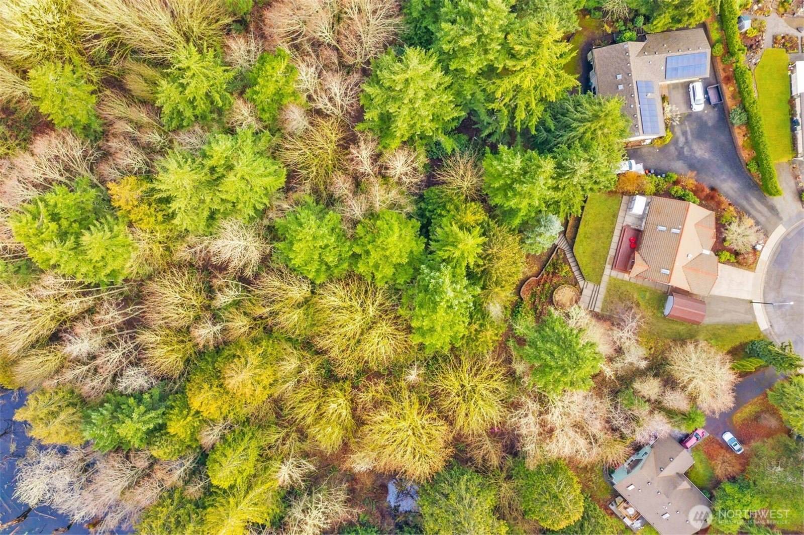 3400 17th Court NE, Olympia, WA 98506