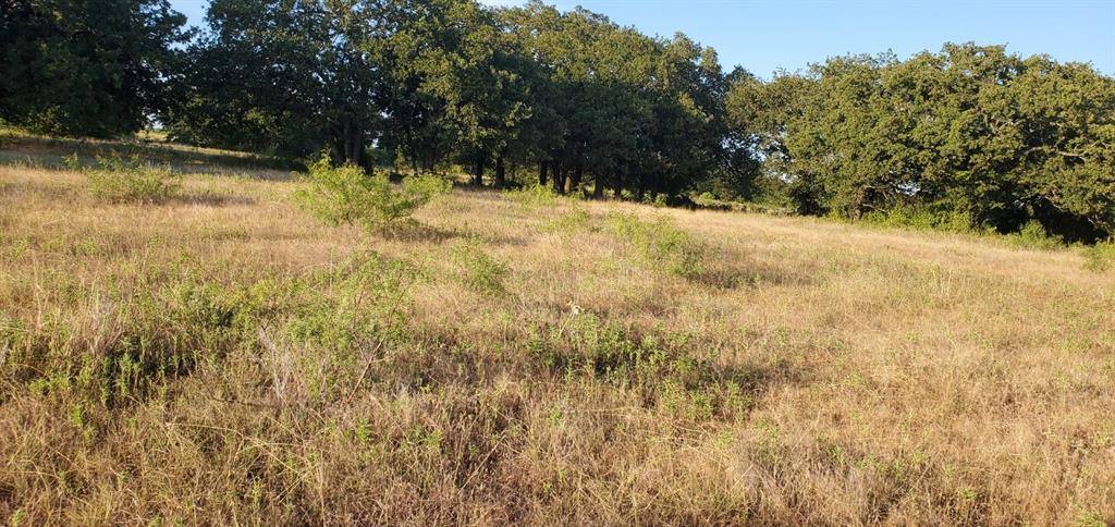 956 Cr-1990, Chico, TX 76431