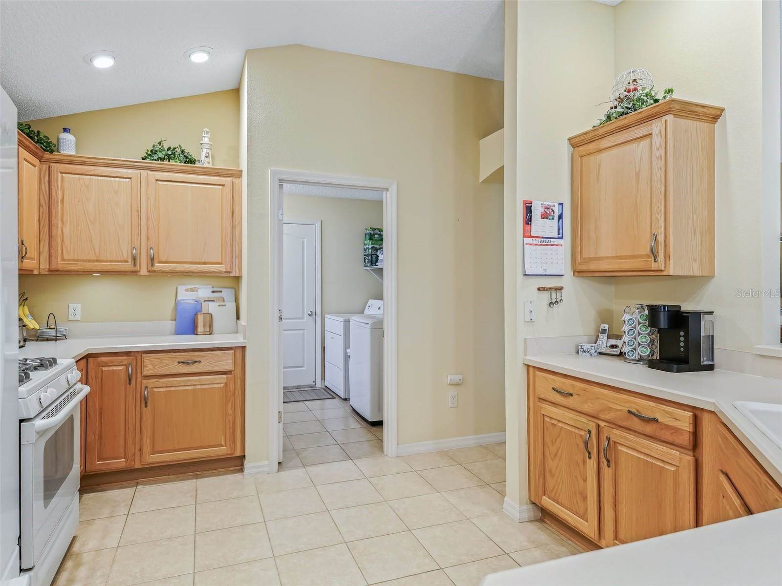 16814 SE 80th Bellavista Circle, The Villages, FL 32162