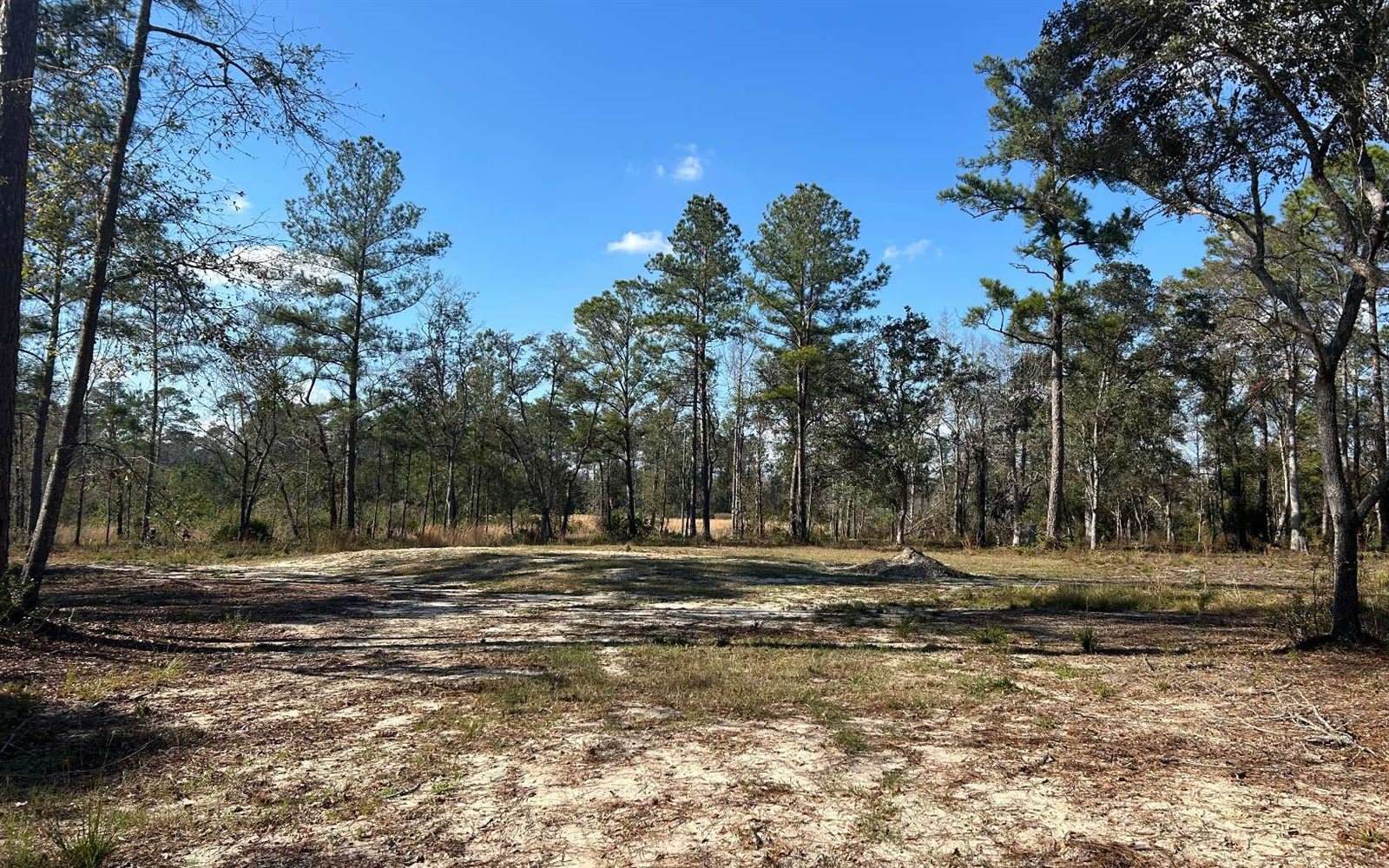 182 SW Waco Court, Lake City, FL 32025