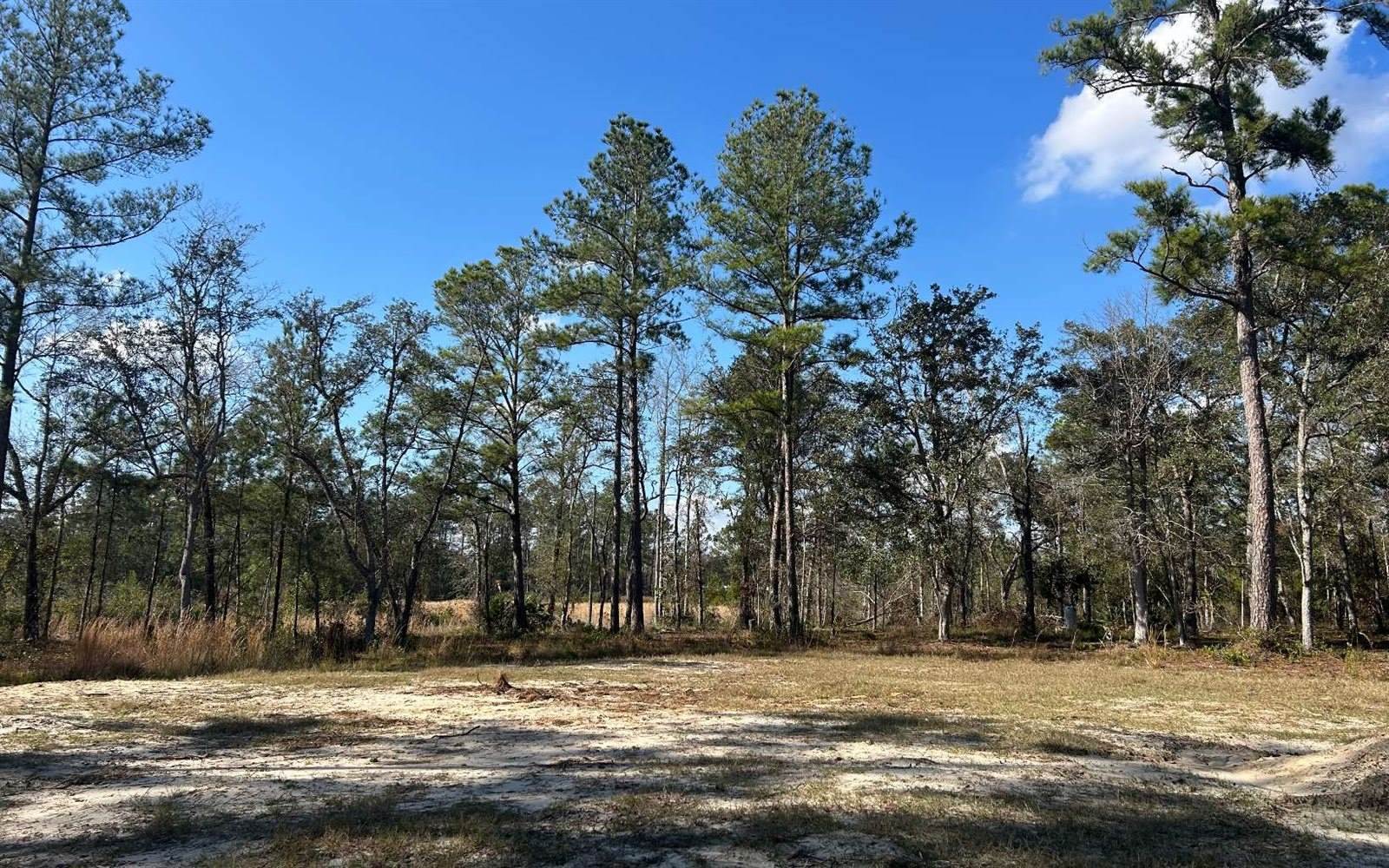 182 SW Waco Court, Lake City, FL 32025