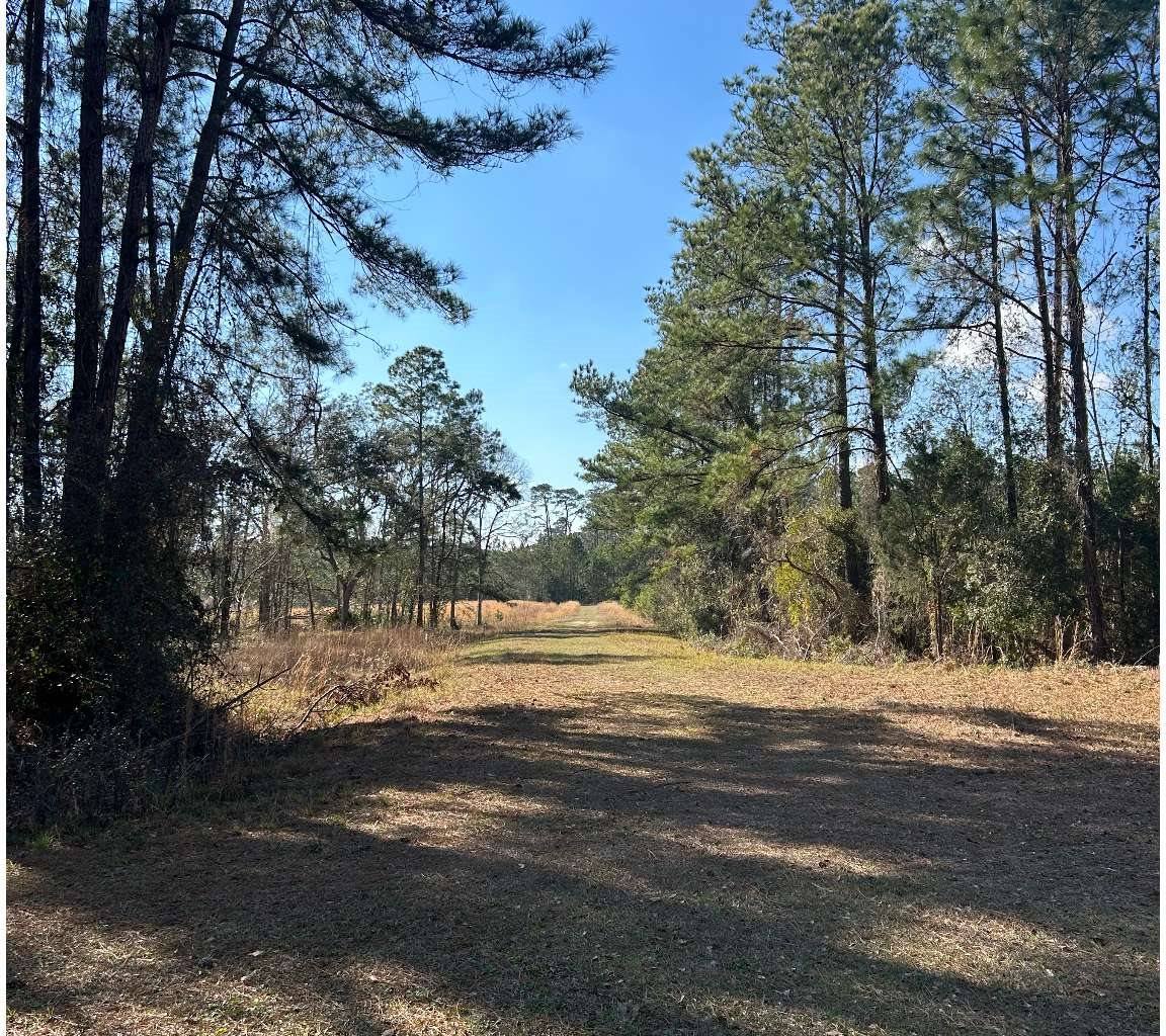 182 SW Waco Court, Lake City, FL 32025