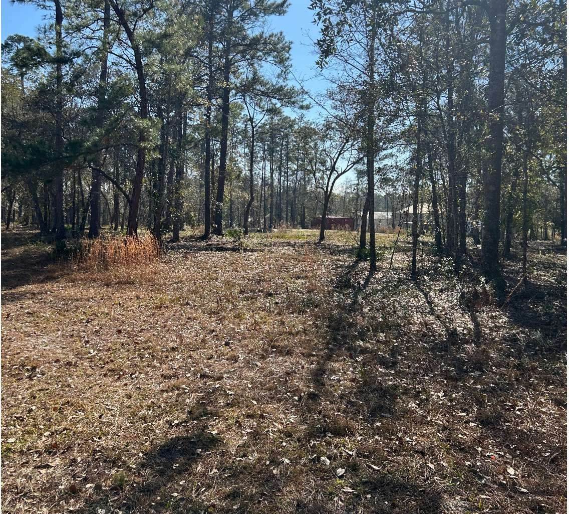 182 SW Waco Court, Lake City, FL 32025