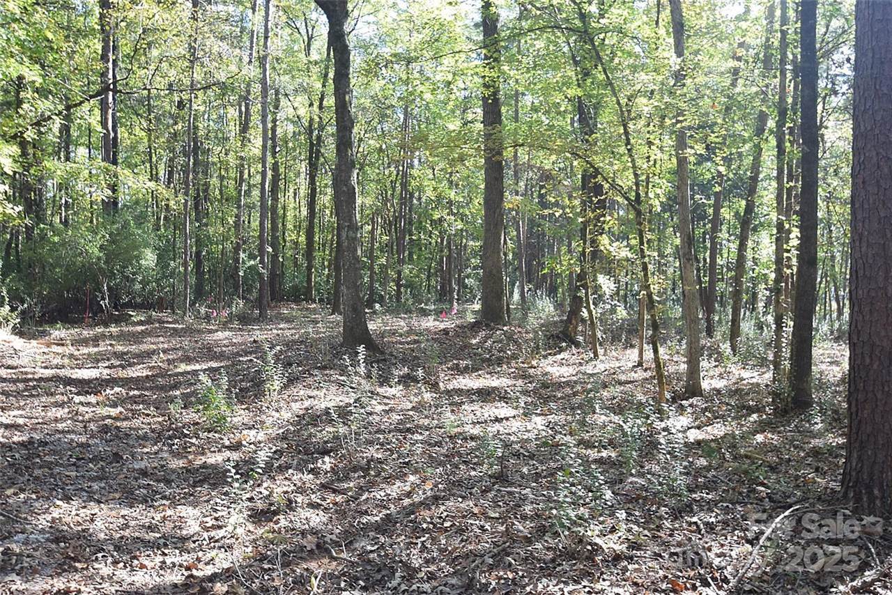 0000 Mcelroy Road, Waxhaw, NC 28173