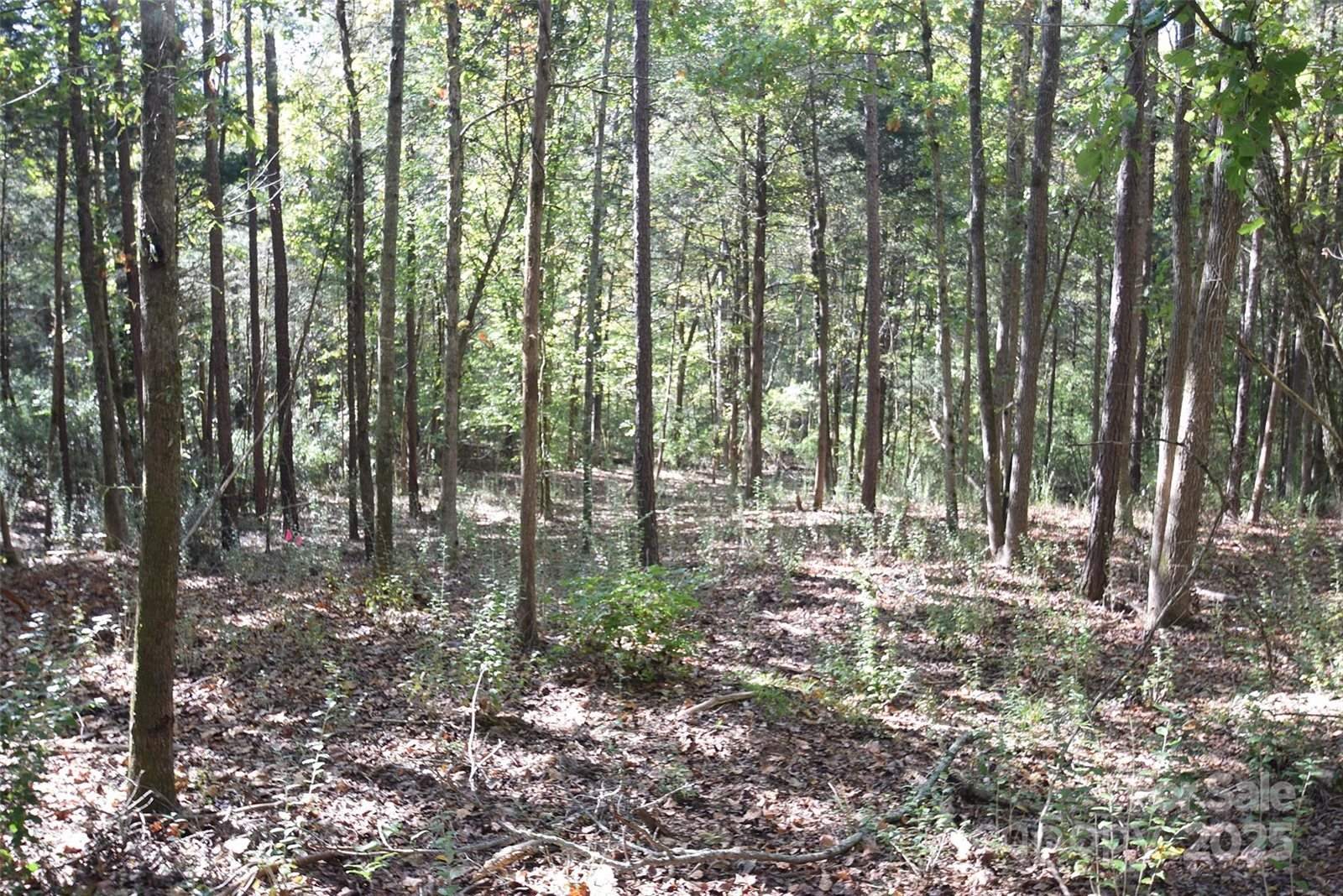 0000 Mcelroy Road, Waxhaw, NC 28173