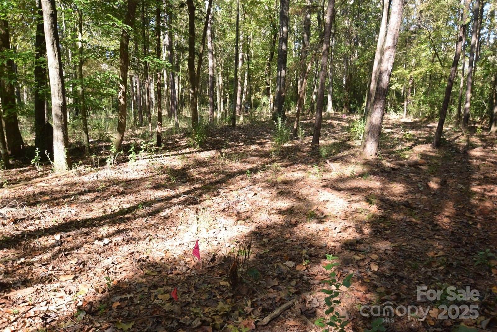 0000 Mcelroy Road, Waxhaw, NC 28173