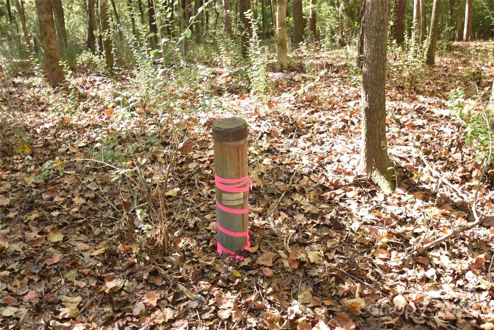 0000 Mcelroy Road, Waxhaw, NC 28173