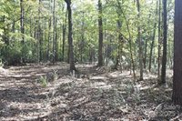 0000 Mcelroy Road, Waxhaw, NC 28173