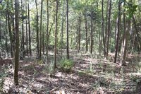 0000 Mcelroy Road, Waxhaw, NC 28173