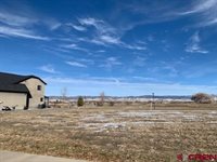 Lot 2511 Fellows Drive, Montrose, CO 81401