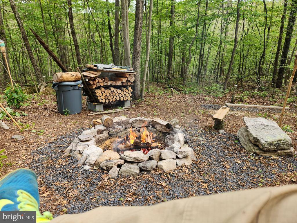 Lot 295 Hickory Flat Ln, Fort Valley, VA 22652