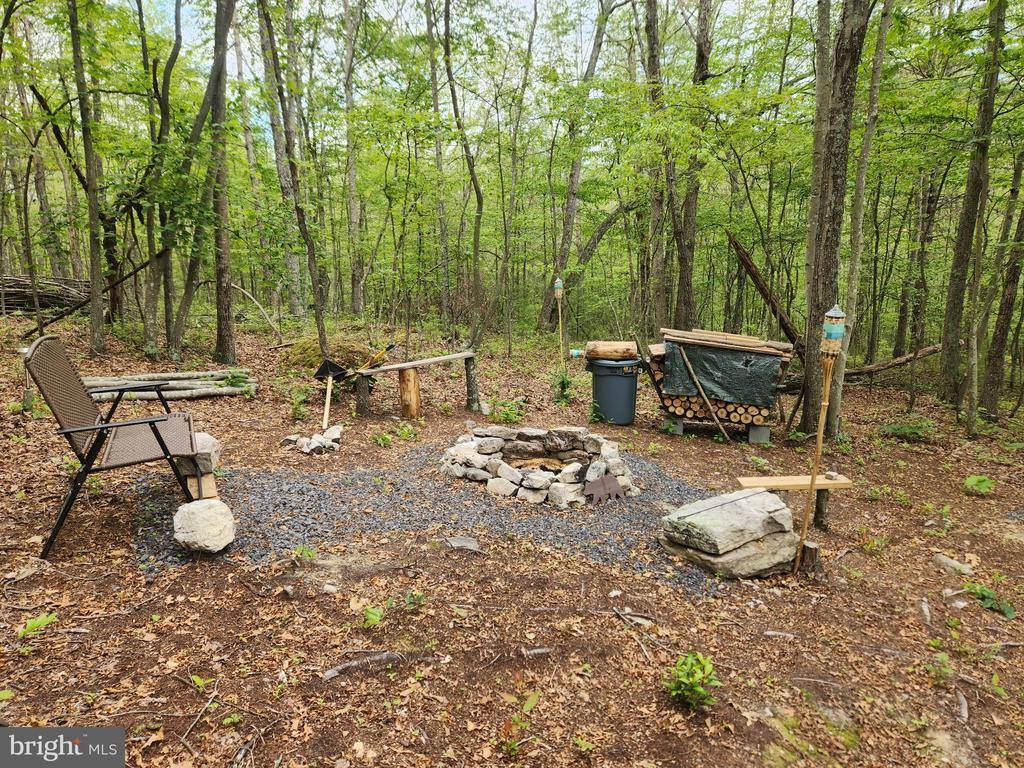 Lot 295 Hickory Flat Ln, Fort Valley, VA 22652