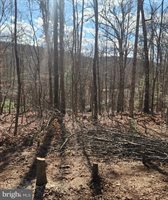 Lot 295 Hickory Flat Ln, Fort Valley, VA 22652