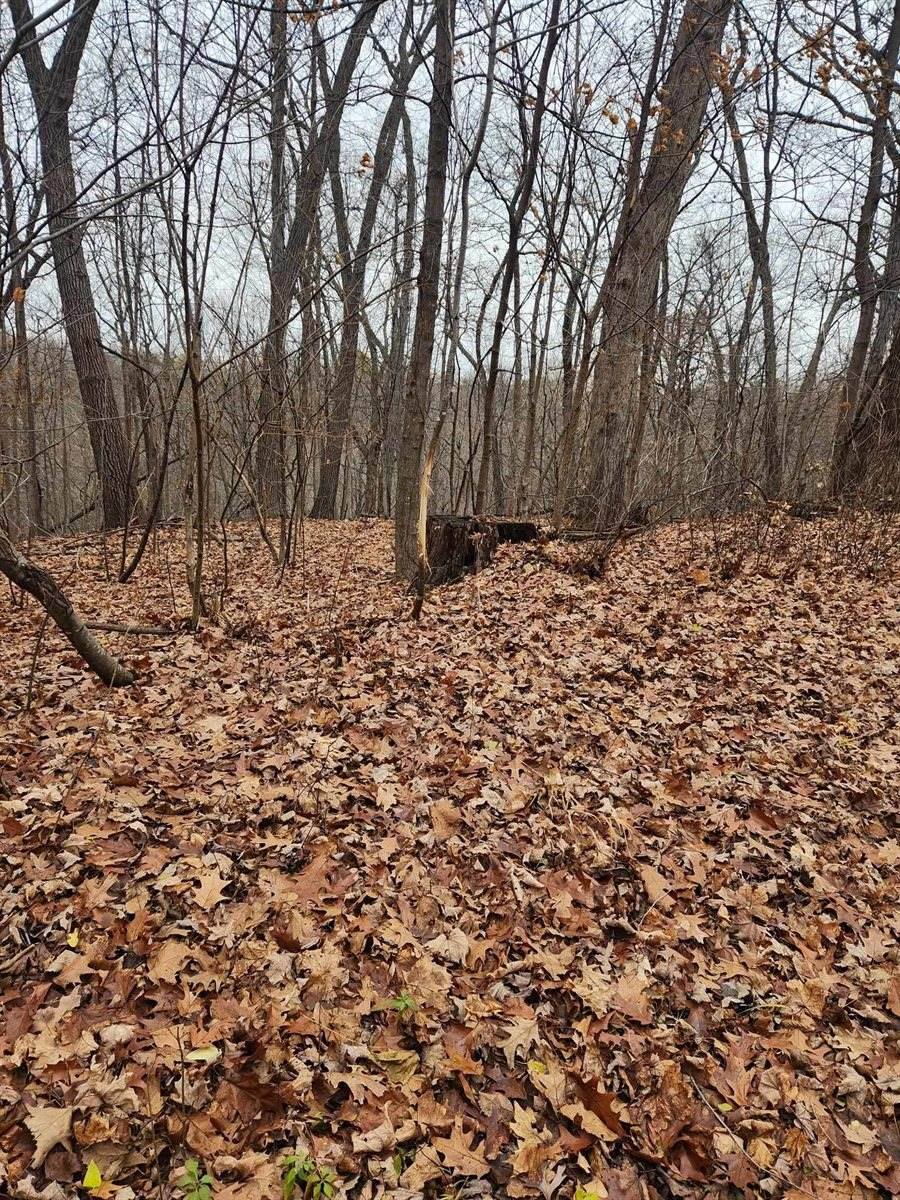 642 Ridge St, De Soto, WI 54642