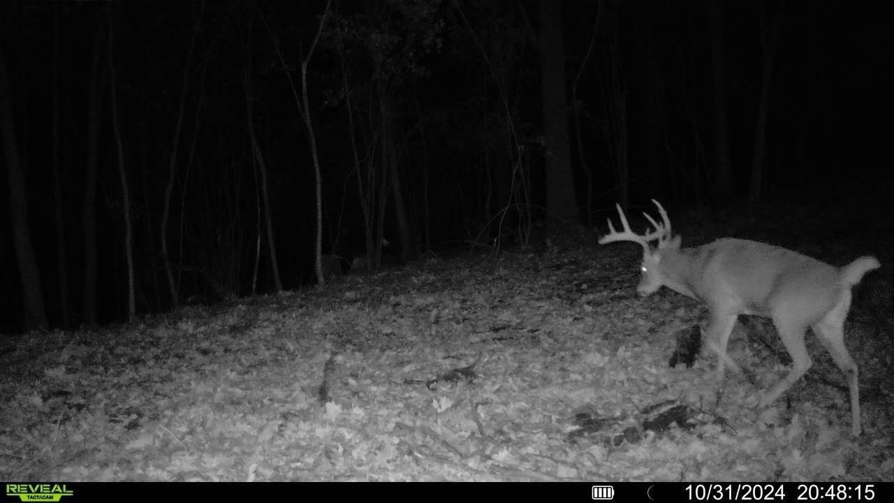 642 Ridge St, De Soto, WI 54642