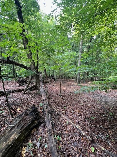 0 Woodvue Drive, Madison Heights, VA 24572