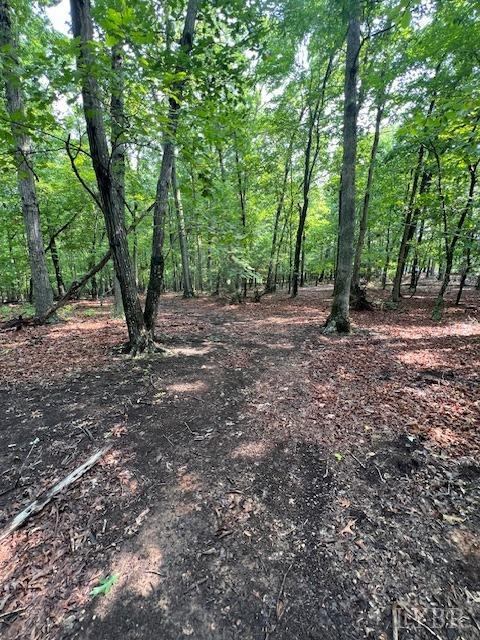 0 Woodvue Drive, Madison Heights, VA 24572