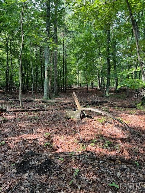 0 Woodvue Drive, Madison Heights, VA 24572