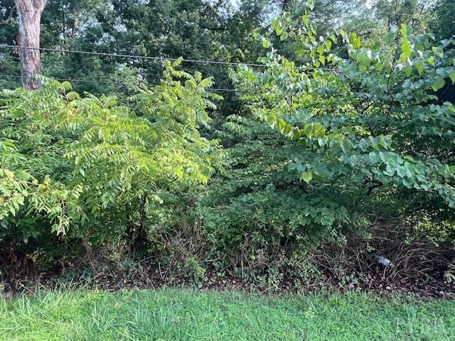 0 Woodvue Drive, Madison Heights, VA 24572