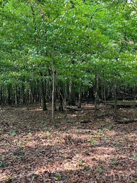 0 Woodvue Drive, Madison Heights, VA 24572