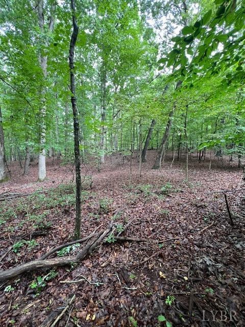 0 Woodvue Drive, Madison Heights, VA 24572