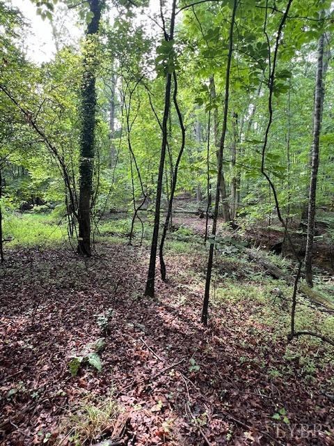 0 Woodvue Drive, Madison Heights, VA 24572