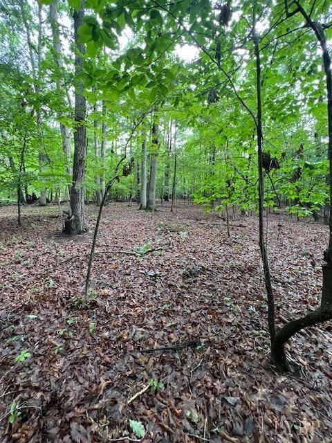 0 Woodvue Drive, Madison Heights, VA 24572