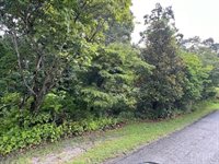 0 Woodvue Drive, Madison Heights, VA 24572