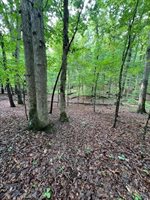 0 Woodvue Drive, Madison Heights, VA 24572