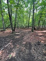 0 Woodvue Drive, Madison Heights, VA 24572