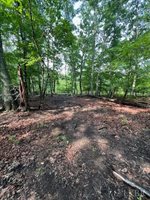 0 Woodvue Drive, Madison Heights, VA 24572