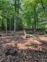 0 Woodvue Drive, Madison Heights, VA 24572