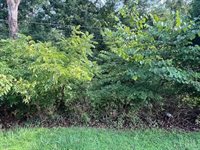 0 Woodvue Drive, Madison Heights, VA 24572