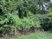 0 Woodvue Drive, Madison Heights, VA 24572