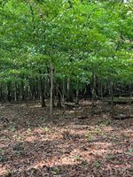 0 Woodvue Drive, Madison Heights, VA 24572